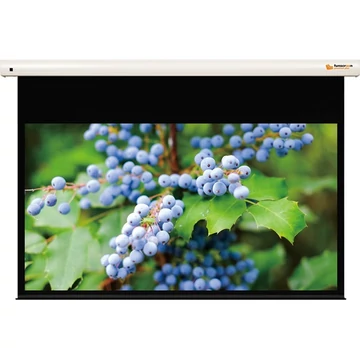 FUNSCREEN 132" (16:9) Premium Plus motoros vetítővászon (Méret: 304x170, Látható méret: 294x165 cm)