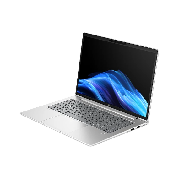 HP Probook 4 G1a 14 14" WUXGA AG UWVA, Ryzen5 220 3.2GHz, 8GB, 256GB