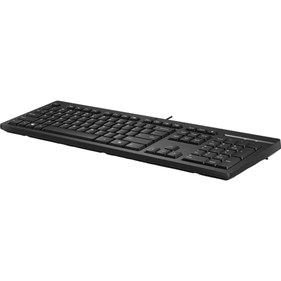 HP vezetékes billentyűzet 125 - fekete