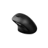 RAPOO 00220693, "M50 Plus" Wireless Silent Optical Mouse, black
