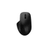 RAPOO 00220693, "M50 Plus" Wireless Silent Optical Mouse, black